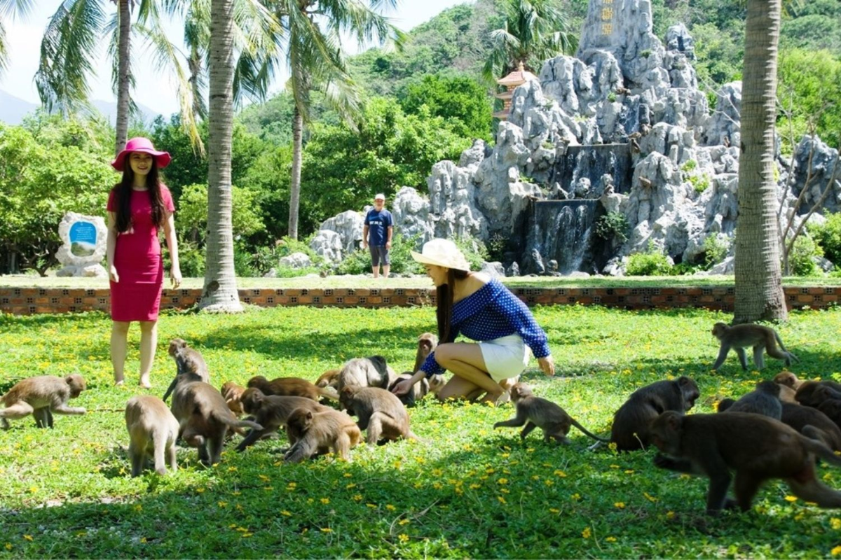 Playful monkeys at Monkey Island in Nha Trang forest area